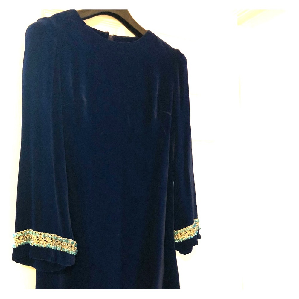 Blue Velvet Vintage Dress